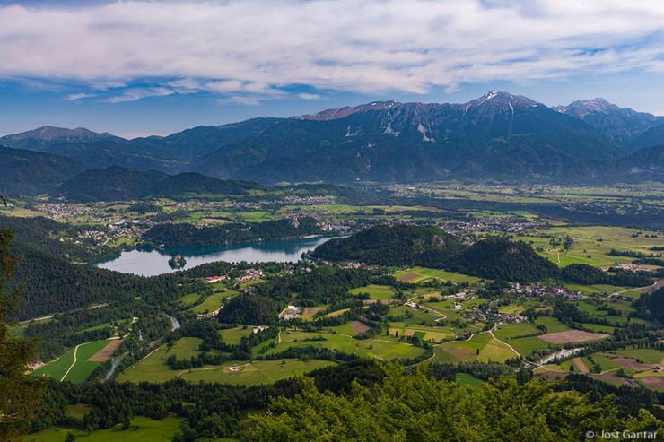 Tourist House Capricorn Appartement Bled Buitenkant foto